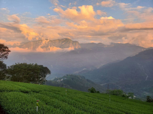 嘉義茶境小瑞士-“倒數眉毛”縱走與瑞太古道，輕鬆度假露宿趣!(倒交山、海鼠山、月眉山與生毛樹山)