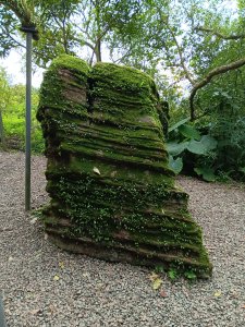 微笑山線大棟山系百年大榕樹段+大湖坑步道