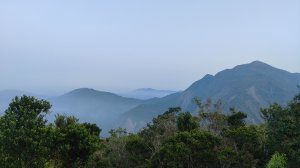 茶仁山單攻2025年4月4日