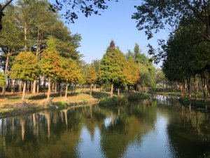 嘉義縣東石鄉三塊厝三等三角點NO.415、嘉義縣新港鄉溪北圖根點、嘉義縣九芎埤落羽松生態濕地