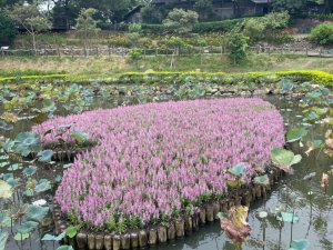 20210911台北大縱走第五段