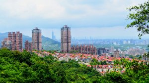 點亮初夏的綠光