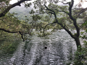滿水位向天池（清天宮起登，原路來回）