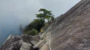 【長壽鳶嘴山】下山篇-鳶嘴山西陵線縱走，攻頂後逆向回27K登山口。