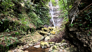 桃園彩虹瀑布步道（高坡瀑布群），拉拉山神木群步道