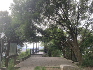 虎山親山步道、南港公園