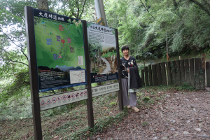 新竹旅遊D1 觀霧國家森林遊樂區  雪霸休閒農場