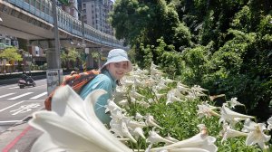 (姨婆趴趴走)第五十三集:台北內湖三山（白鷺鷥山、康樂山、明舉山）連走