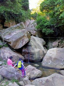 【臺北大縱走 4】山青水明的圓覺寺步道→鯉魚山小人國步道（O形路線）