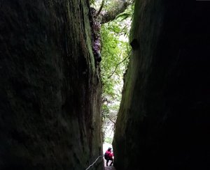 新竹五指山-猴洞一線天