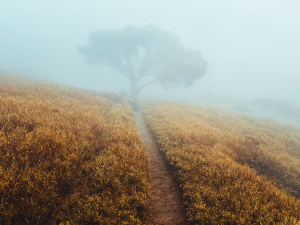 奇萊主北 （超硬單攻流水賬）