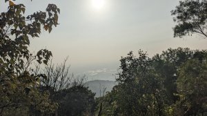 彰化橫山o型