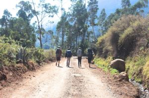 Choquequirao Trek