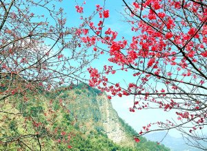 馬那邦山：滿山楓紅的古戰場