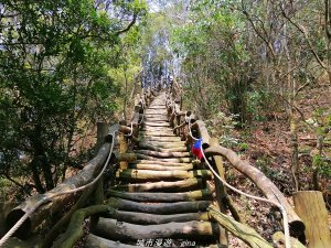 【台中。北屯】台灣百大必訪步道。 大坑四號步道