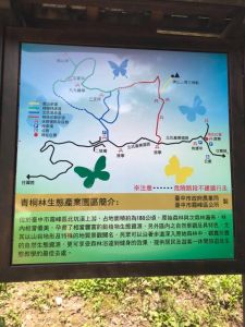 青桐林生態步道