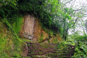 東北角生態步道小旅行-金字碑古道