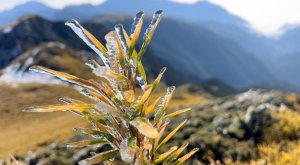 【百岳】奇萊北峰 穿過2022初雪，在黃金草原看水晶日出，在強風、冰雪裡踩著冰爪身處白色奇萊，抓著結冰的攀繩，登上黑色奇萊。