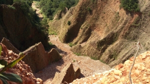 將來爬不動1051125火炎山自然保留區