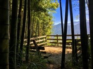 潛藏「雲」間   ：雲林 石壁木馬古道  五元二角