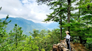 【中級山】隱藏版的大魔王，谷關第八雄，阿冷山，阿冷山前峰，阿冷山北峰