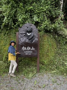 跟團【悠遊走】拉拉山巨木群步道
