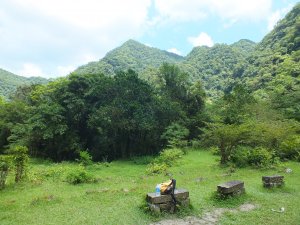 中坑口、內盤山古道、中坑古道東西線O型走