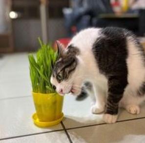 看看YA TU的個人專頁