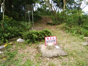 漫步白雲山步道