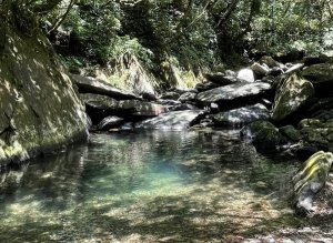 2022-023：桶后越嶺古道健行