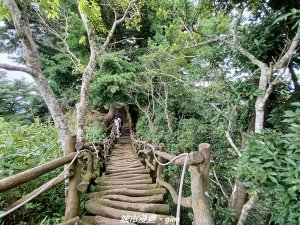 【台中北屯】雲淡風輕。 大坑二號步道連走頭嵙山