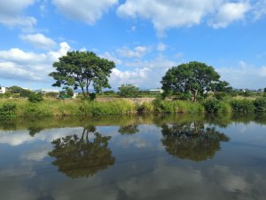 2025.08.24－霄裡好風光：霄裡~忠貞新村