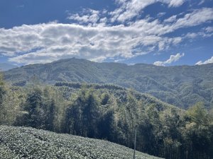 鹿谷小半天七連峰