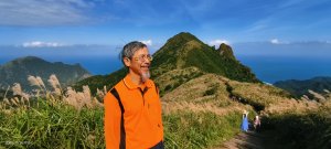 #半屏山 #芒花 11/26