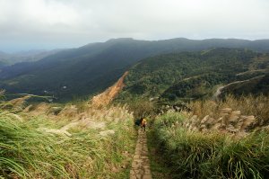 頂山石梯嶺步道