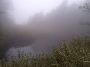 20250420南投瀧奧、奇萊尖山、合歡八連峰