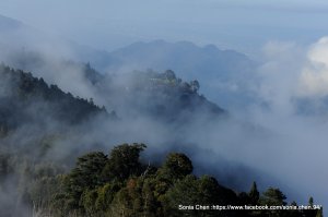 「與山對望」｜野馬瞰山 2026 D0311