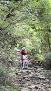 20250811未竟之小百岳里龍山