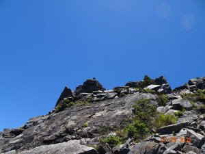 南橫溪頭山