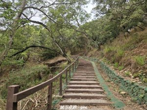【台中龍井/大肚】竹坑南寮登山步道x瑞井登山步道O繞