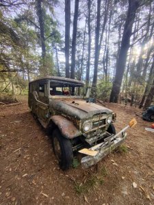 東埔走八通關古道訪龍貓公車繞對關山O型