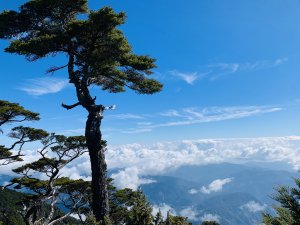 [北大武山] 鐵杉與雲海壯麗之旅