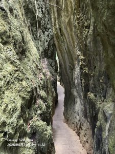 2025-05-31墾丁國家森林遊樂區步道群