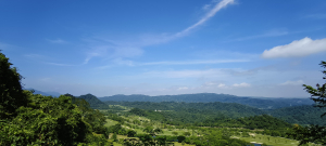 赤柯山+東獅頭山步道-2025/08/09