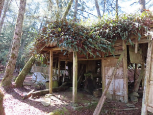 八通關越道路 之 大分山屋~華巴諾駐在所~大分山屋