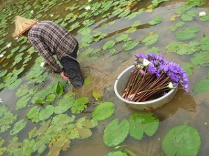 【保育】最後一芝蛙