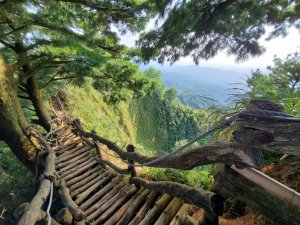 來回4000階沒練好不要去-台中大坑頭嵙山