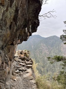 玉山登山口到排雲山莊