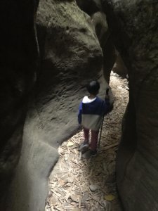 20190210貓仔們探險八卦山一線天