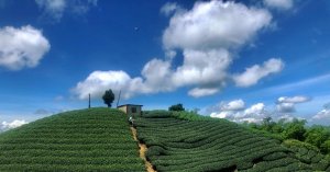 雲嘉五連峰